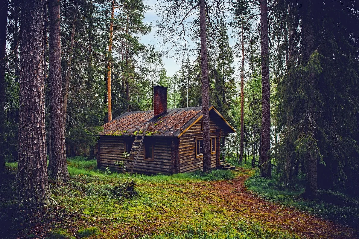 Découvrez la maison ours en 2026 : entre refuge écologique et design innovant