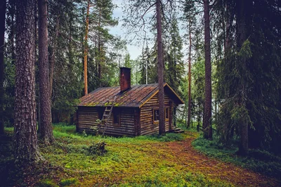 cabane en rondins